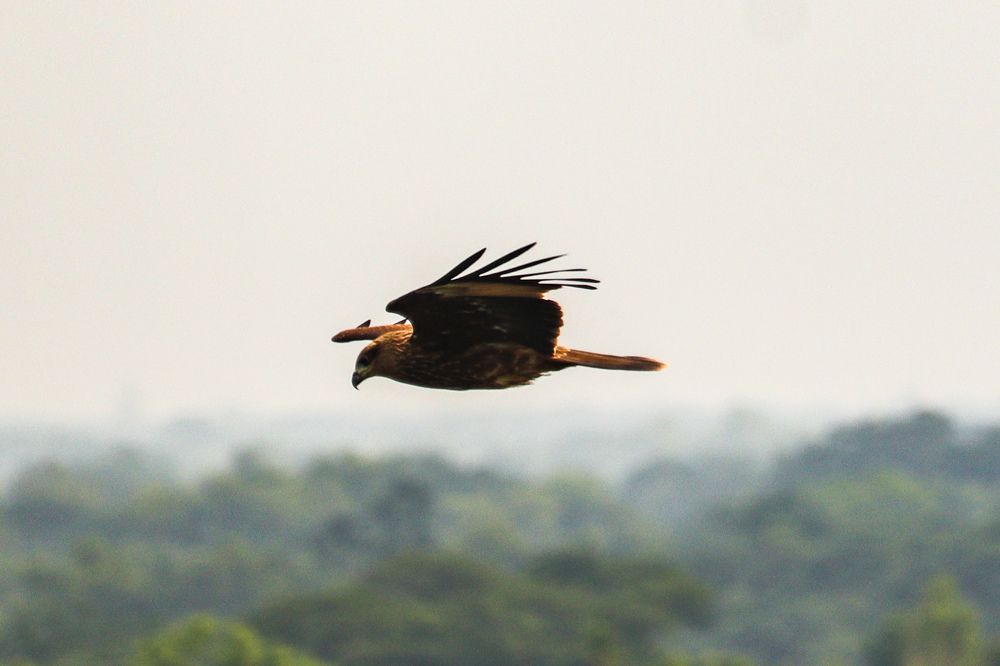 Photograph by Sadman Sakib