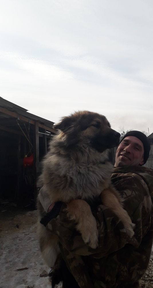 Photograph by Грязнова Светлана Валерьевна