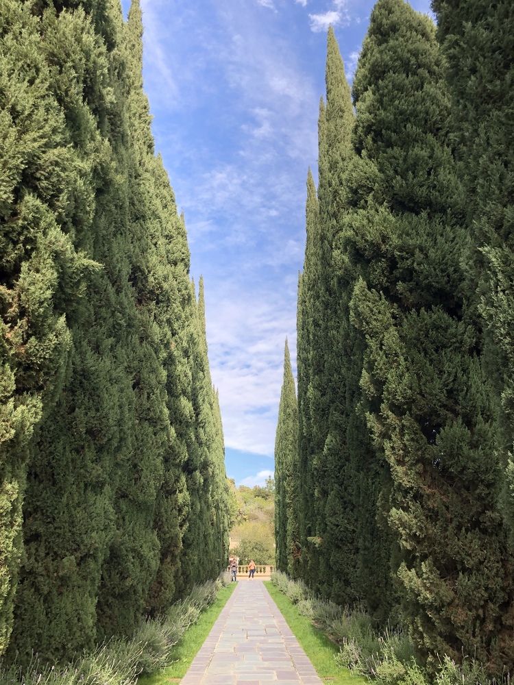 Фотография автора Марина Верба