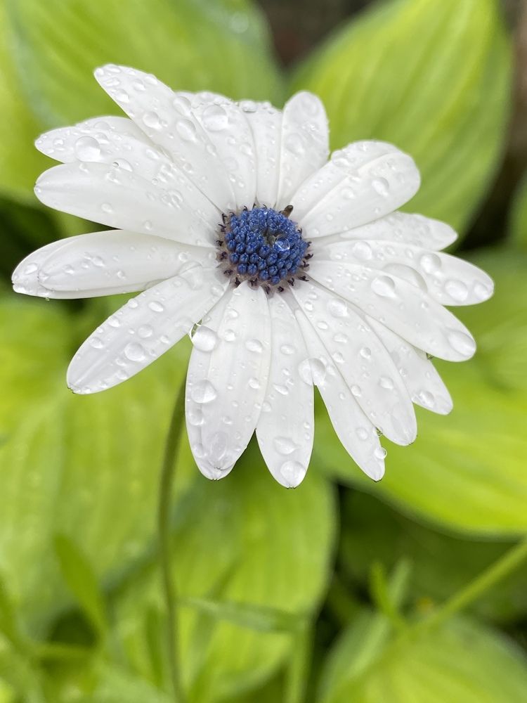 Photograph by Жанна Усатова