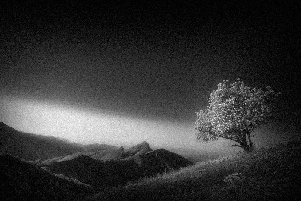 Photograph by Андрей Гусаченко