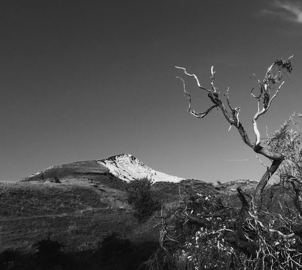 Photograph by Софья