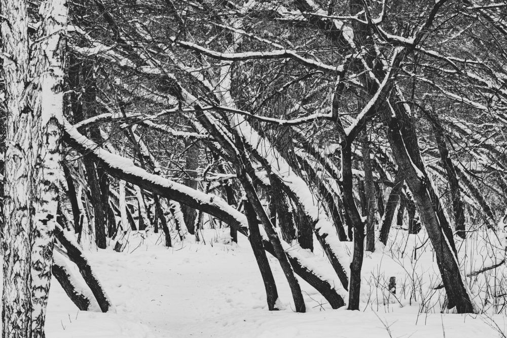 Photograph by Василий Снигирь