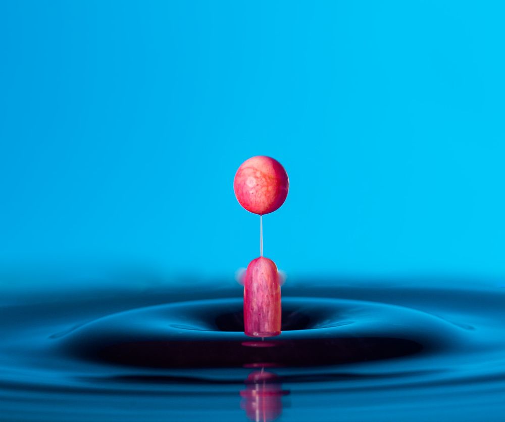 Photograph by Thomas Dunston