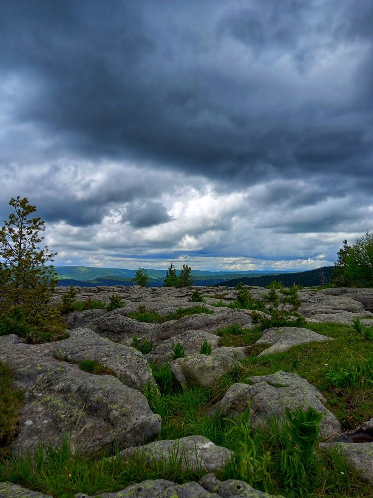 Photograph by Наталья