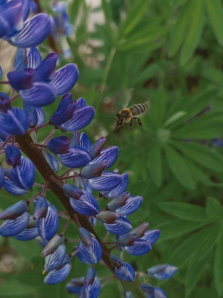 Photograph by Марина Копылова