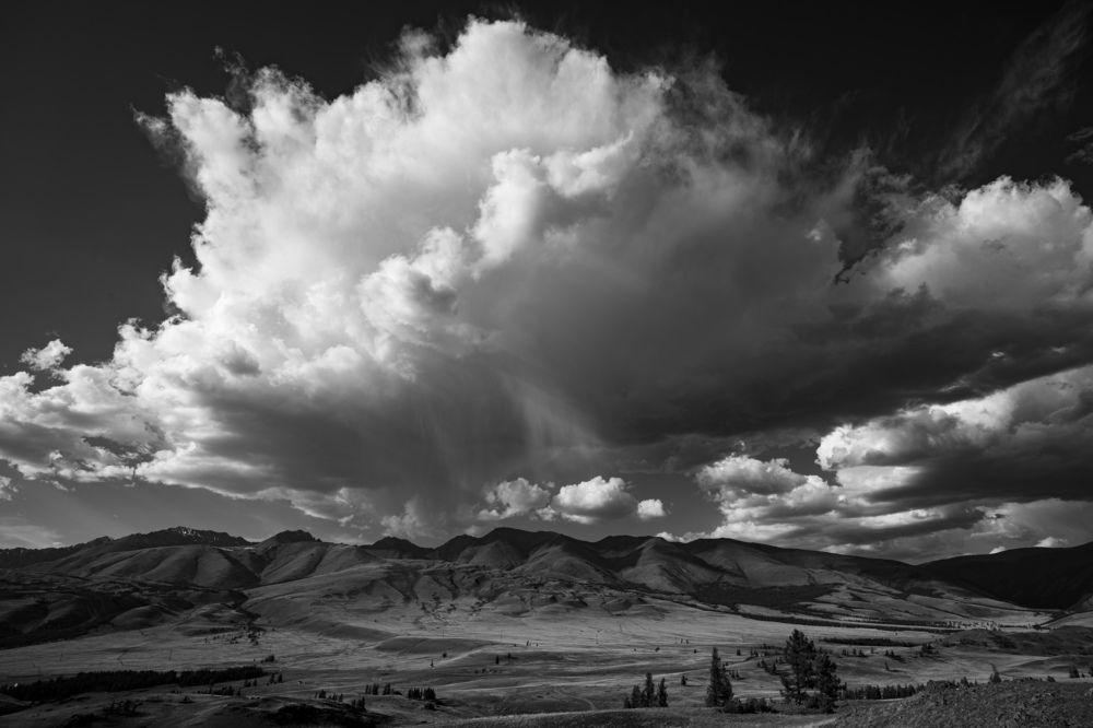 Курайская степь