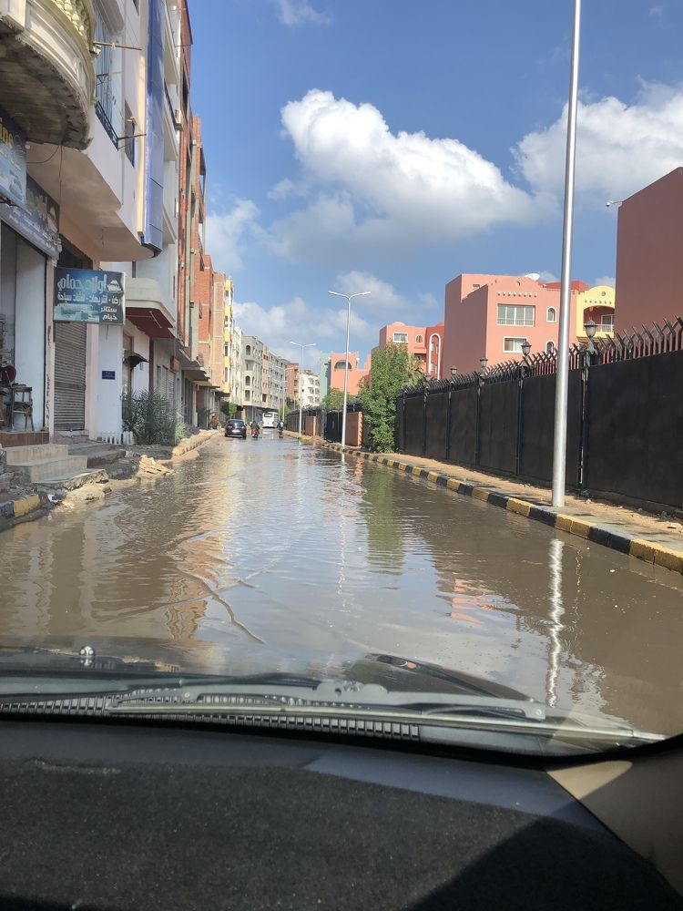 Фотография автора Марина Верба