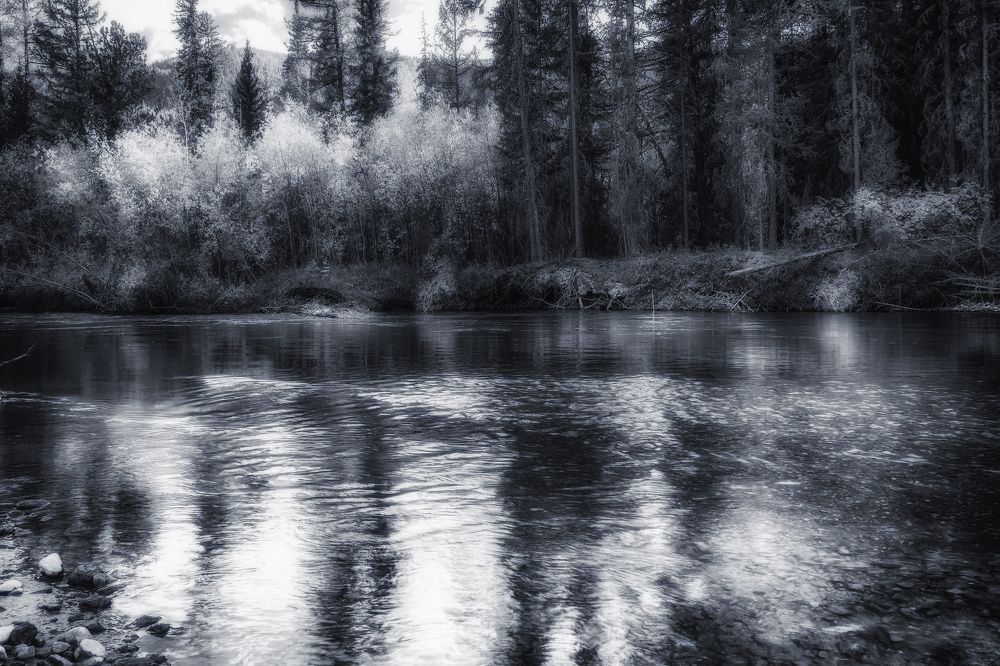 Фотография автора Марина Юдинских