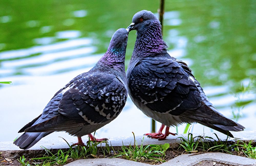 Photograph by Лев Постнов