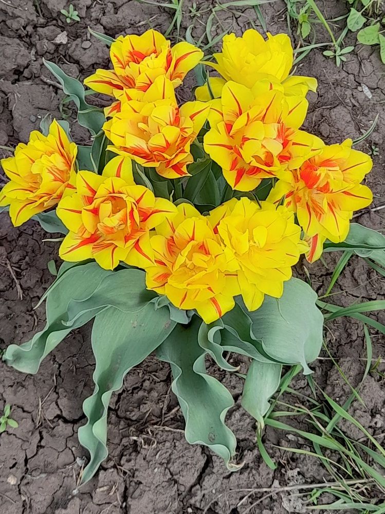 Photograph by Елена Чурынина