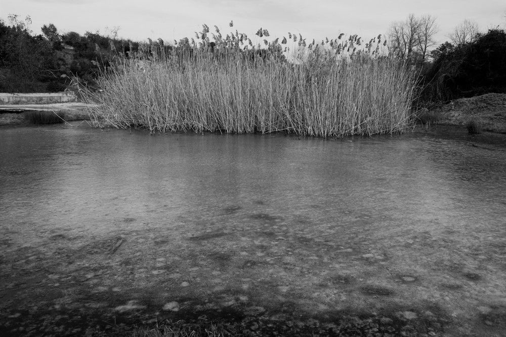 Little lake near by Zagliveri/Thessaloniki