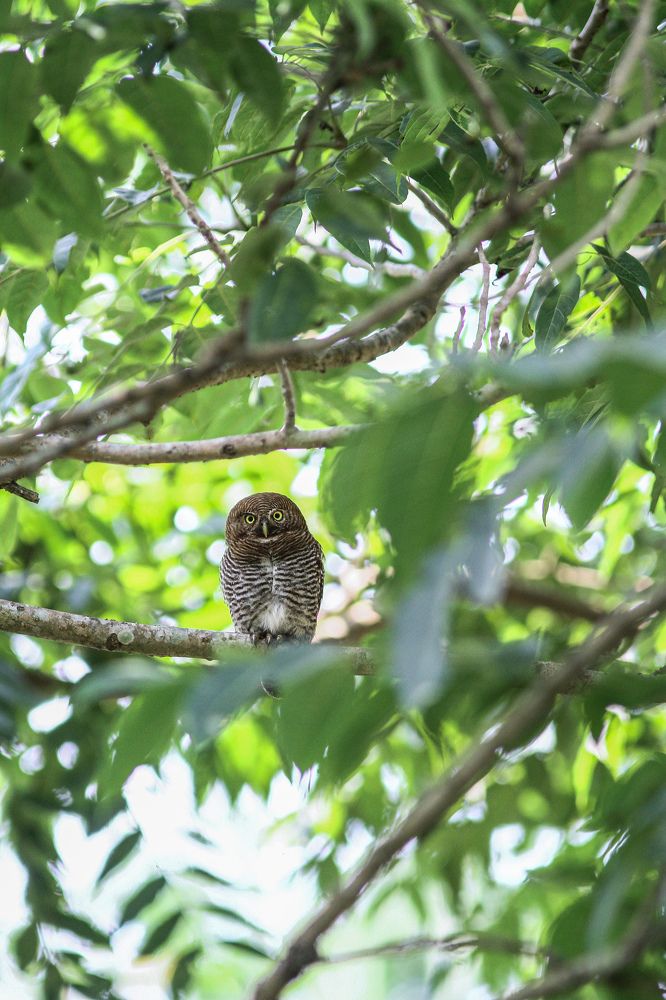 Photograph by Afsal Ansary