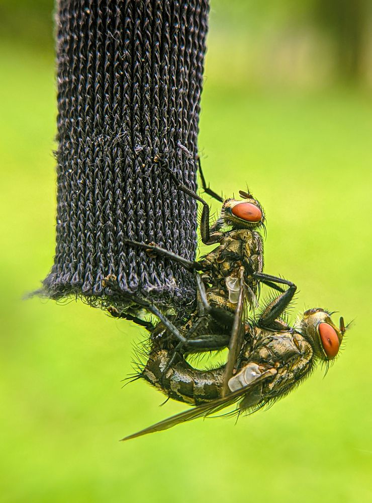 Photograph by Utpal Roy