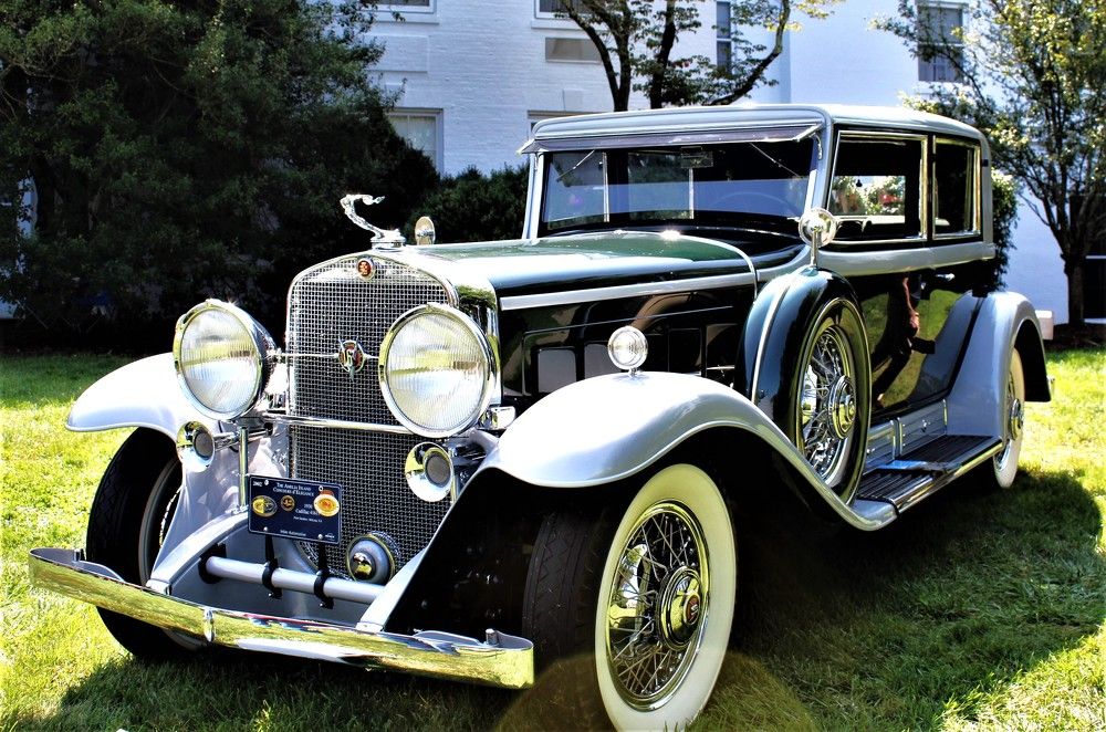 Photograph by Carol Taylor