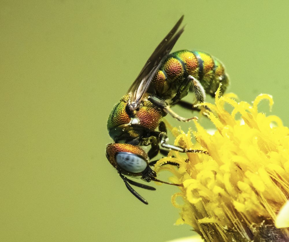 Photograph by Kushal Sharma