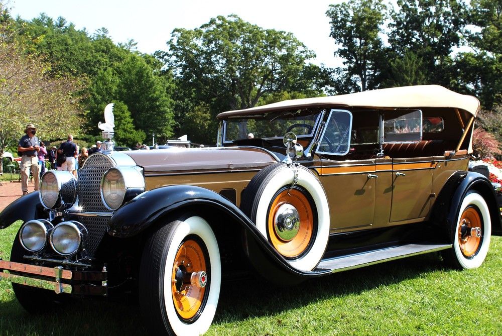 Photograph by Carol Taylor