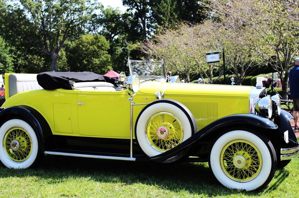 Photograph by Carol Taylor