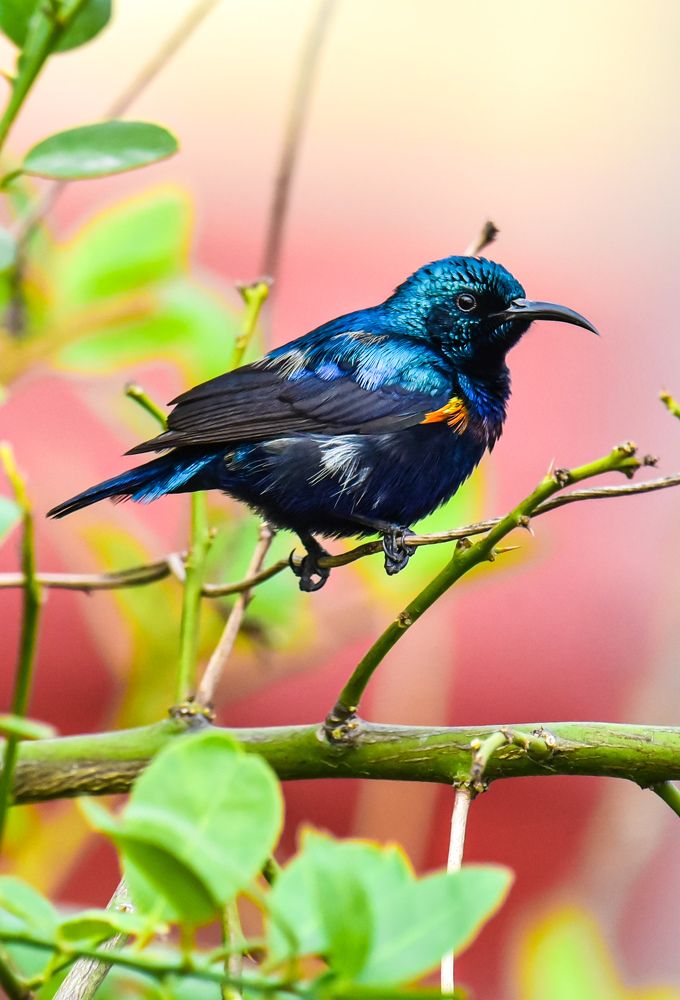 Photograph by Jyotirmay Yadav