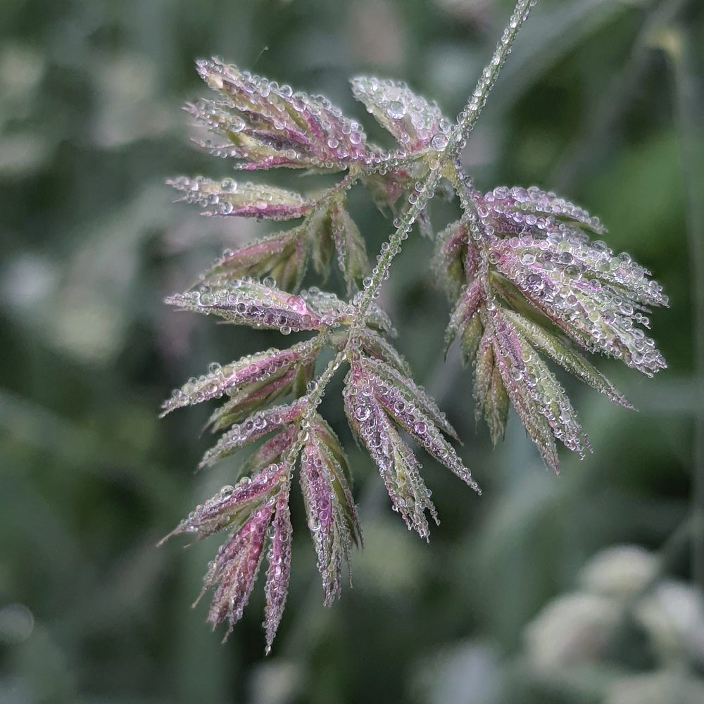 Photograph by Ольга Лукина