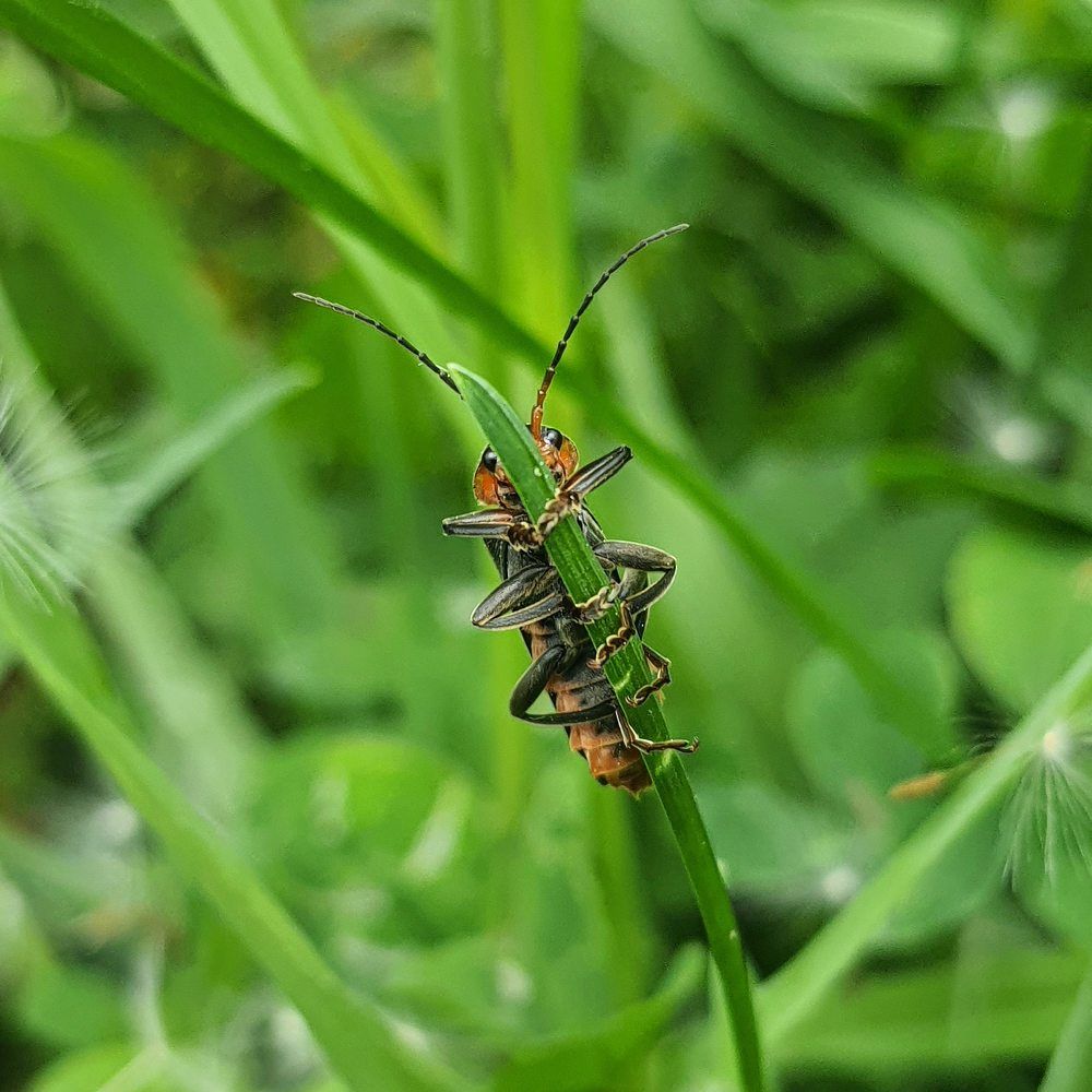 Photograph by Ольга Лукина