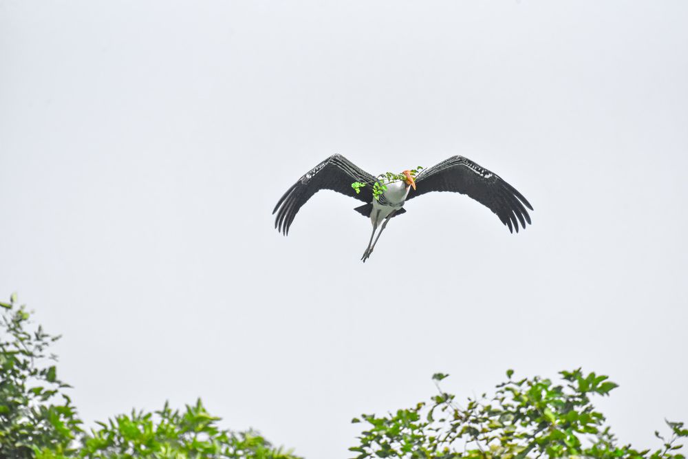 Photograph by Jyotirmay Yadav
