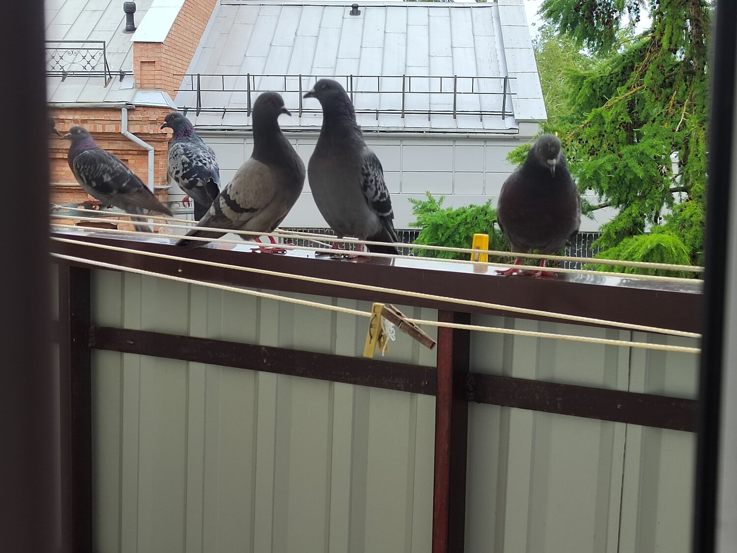 Photo #7705554