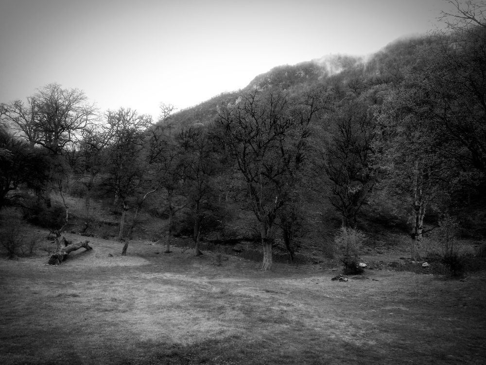 Фотография автора Hadi Nasirian