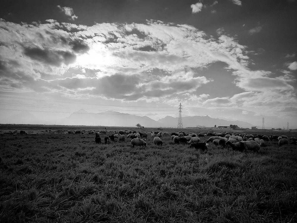 Фотография автора Hadi Nasirian