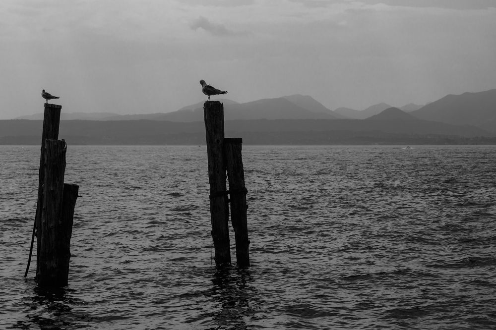 Photograph by Vasily Prokhorov