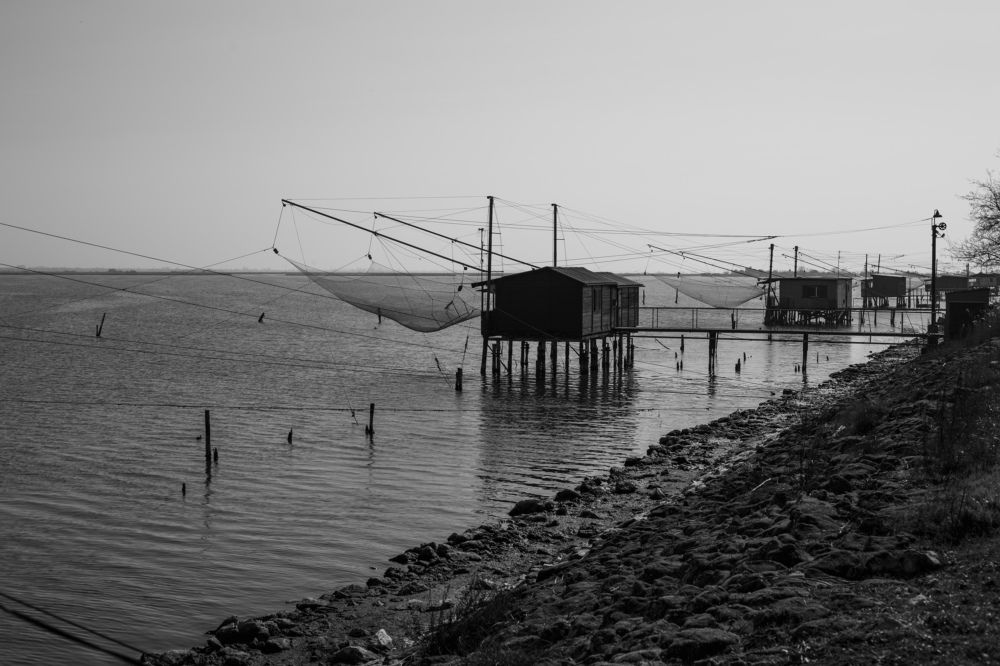 Photograph by Vasily Prokhorov