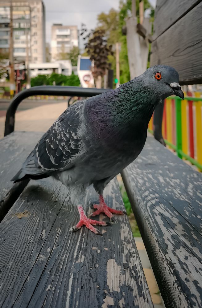 Photograph by Виктория Федосеенко