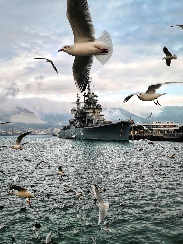 Photograph by Виктория Федосеенко