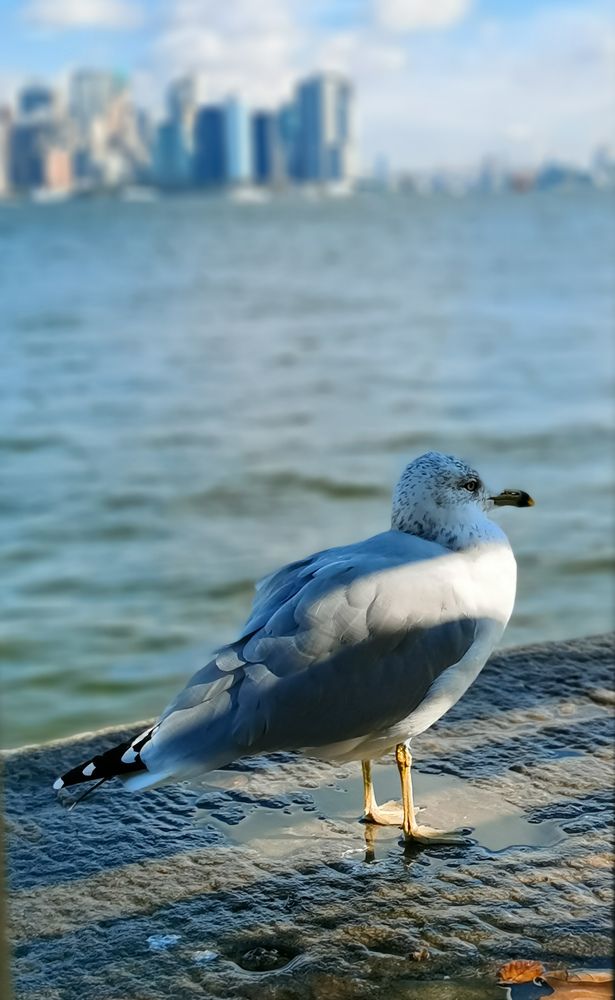 Photograph by Виктория Федосеенко