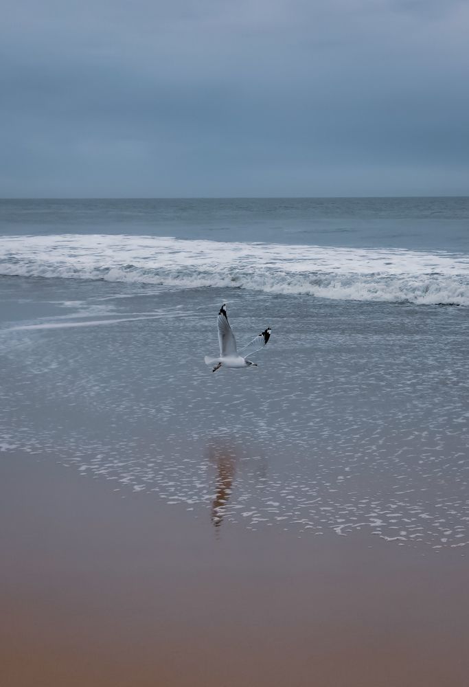 Photograph by Виктория Федосеенко
