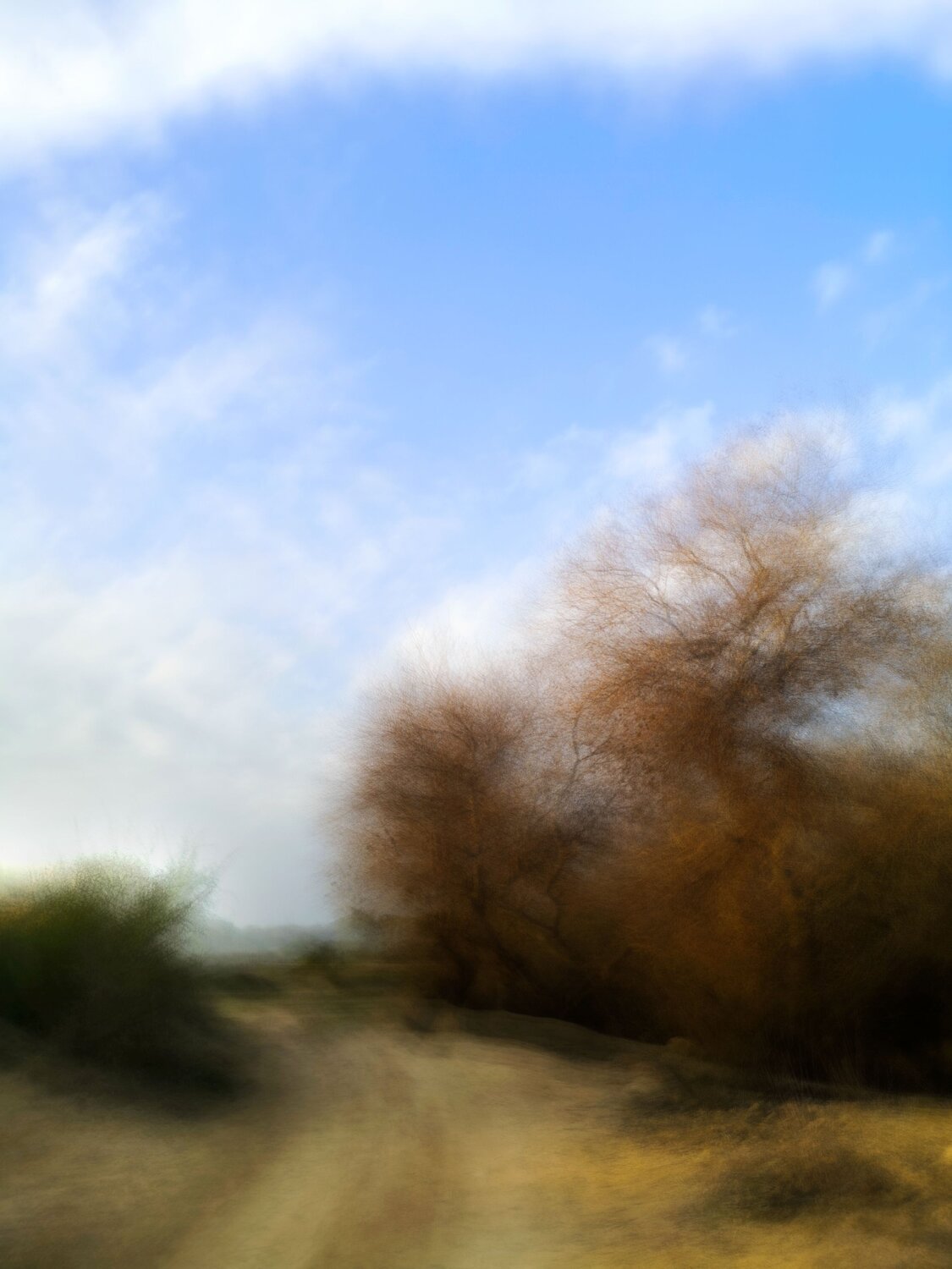Dream Road