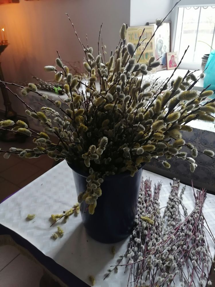 Photograph by Юлия Павленко