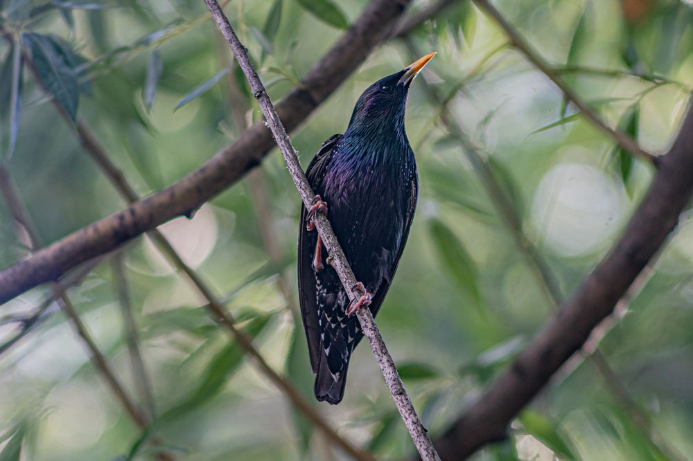 Photograph by Виталий Абдразаков