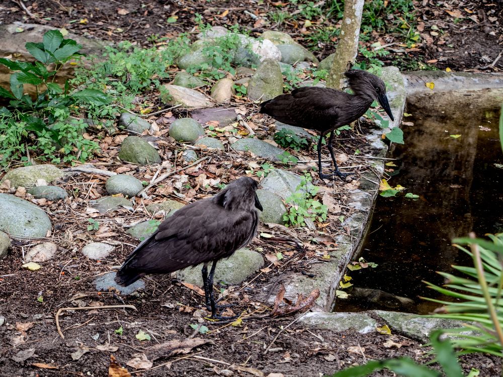 Photograph by Manono Photography