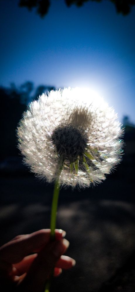 Photograph by Александра Храмцова