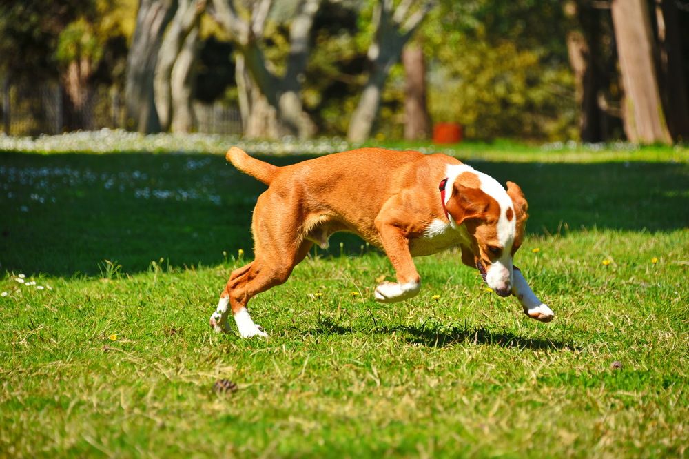 Photograph by Anna Zelinskaya