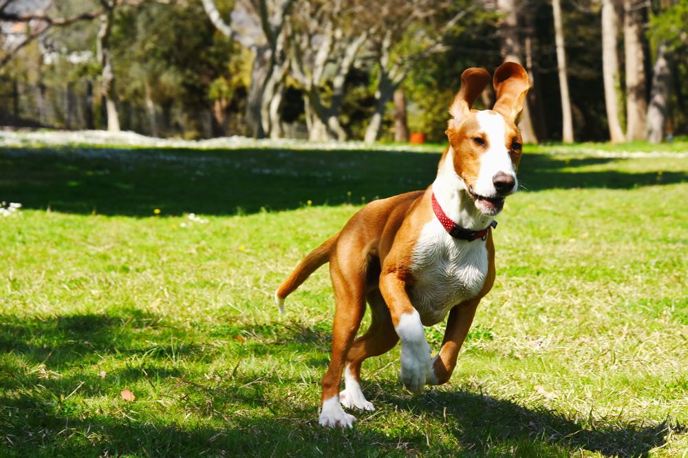 Photograph by Anna Zelinskaya