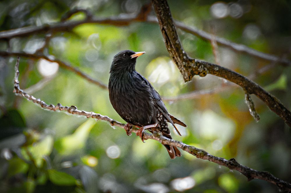 Photograph by Виталий Абдразаков