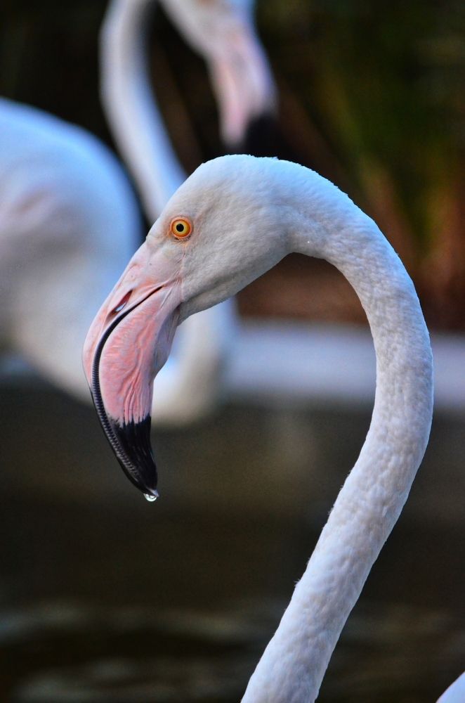 Photograph by Peter Anthony Lee