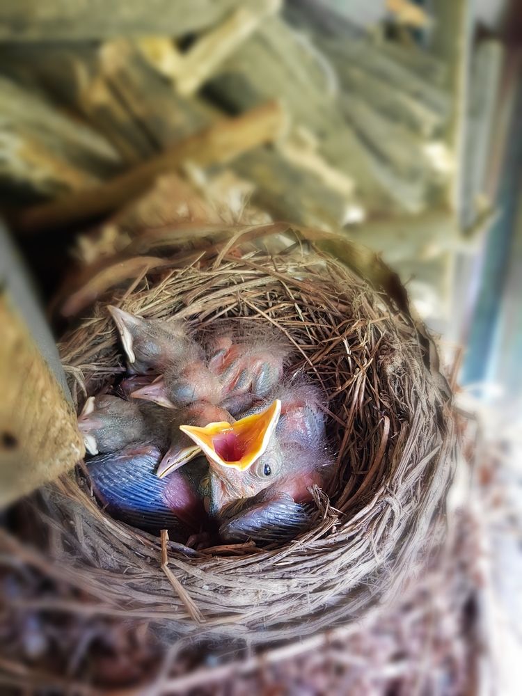 Photograph by Татьяна Яркович