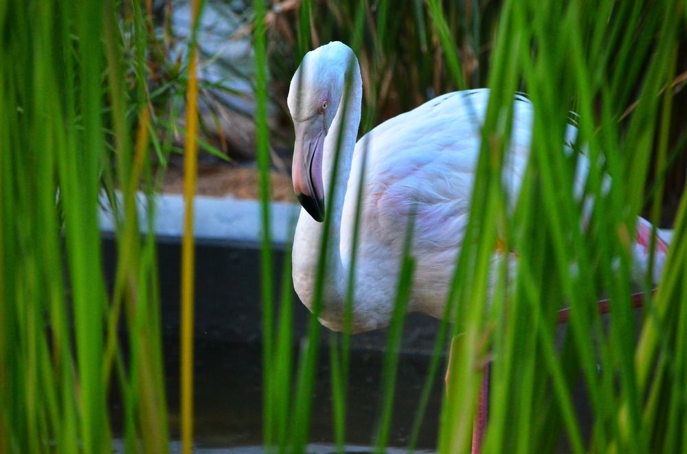 Photograph by Peter Anthony Lee