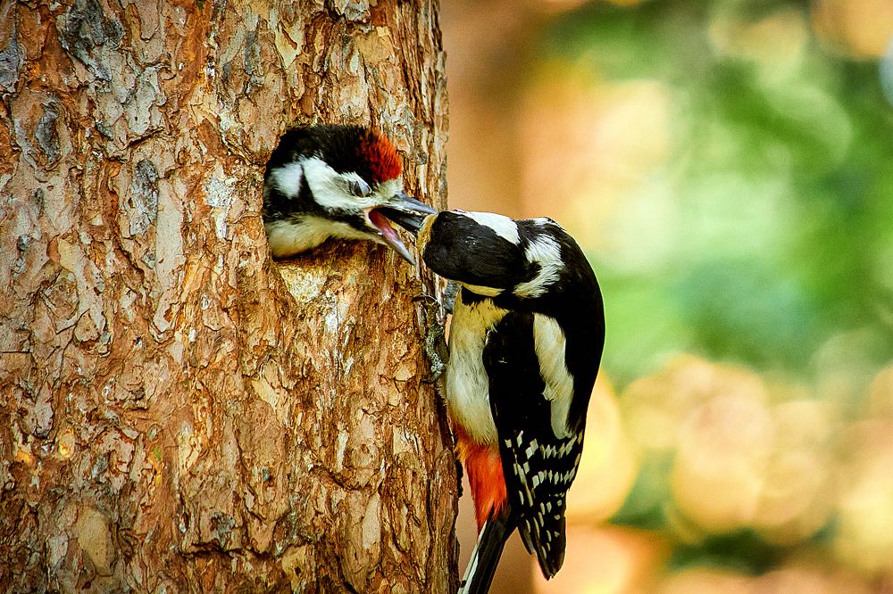 Photograph by Сергей Лисов