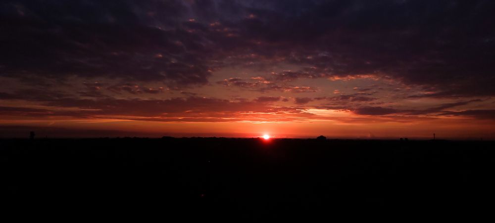 Photograph by SREENATH NARAYAN