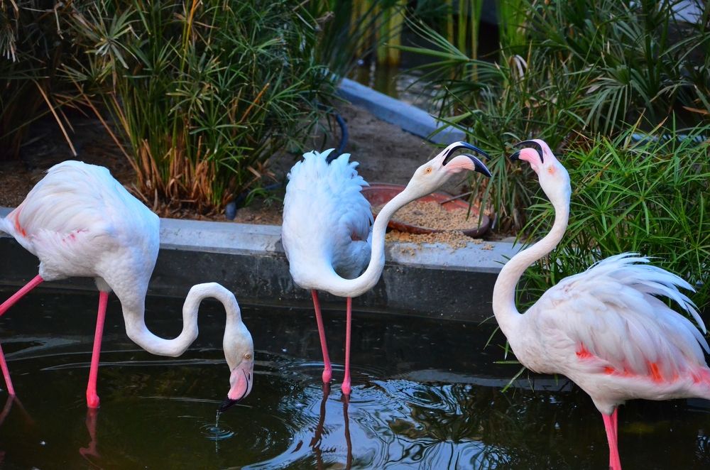 Photograph by Peter Anthony Lee