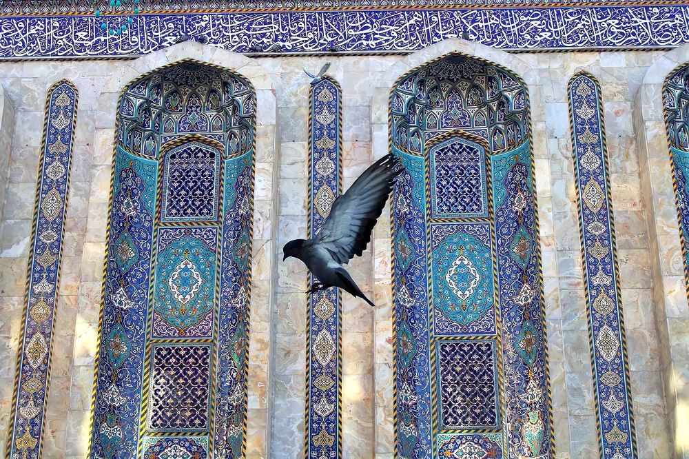 Photograph by Narjes Al_Bayat (Narjes Alzahraa)